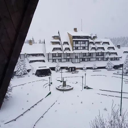 Snow White Апартаменты *